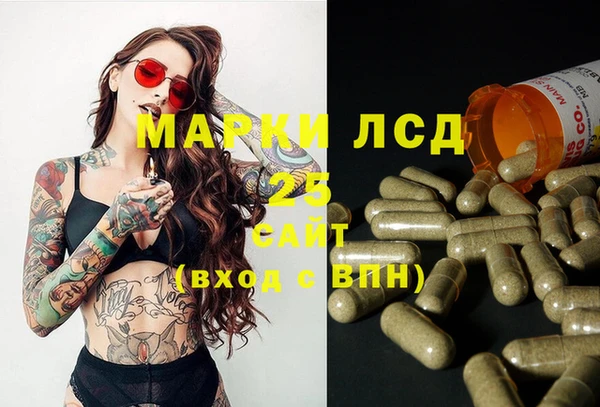 СК Алзамай