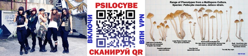 Псилоцибиновые грибы GOLDEN TEACHER  кракен рабочий сайт  Ленинск-Кузнецкий  как найти закладки 