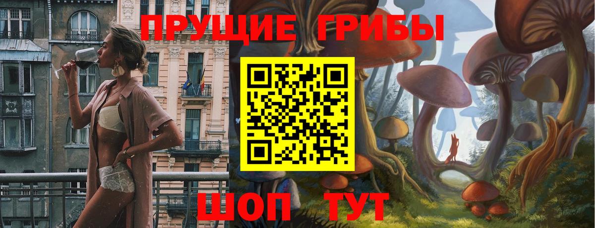 Псилоцибиновые грибы мицелий  Вход с VPN  Ленинск-Кузнецкий  Галлюциногенные грибы Psilocybine cubensis 