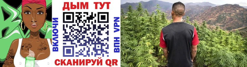 OMG вход  где купить наркоту  Ленинск-Кузнецкий  Каннабис MAZAR 